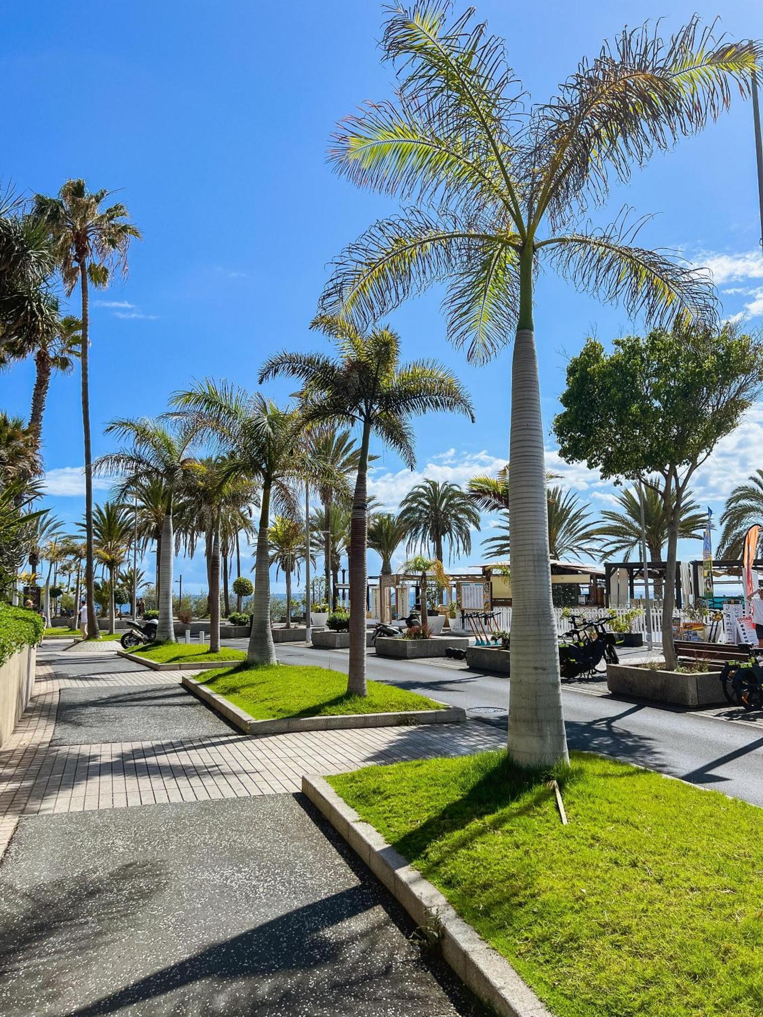 Olympia Palmalicious Playa de las Americas (Tenerife)